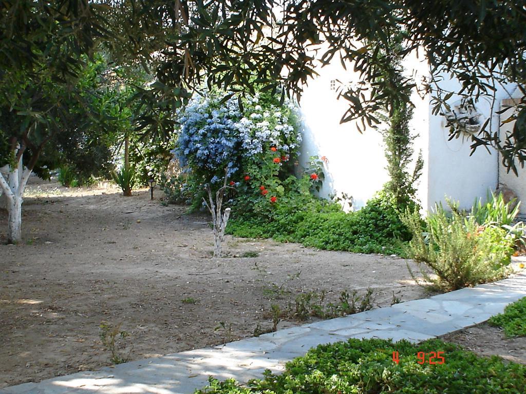 Villa Metaxa Spetses Town Ngoại thất bức ảnh