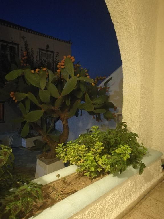 Villa Metaxa Spetses Town Ngoại thất bức ảnh